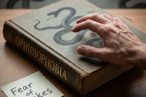 Ophidiophobia Explained: Causes, Symptoms, and How to Overcome the Fear of Snakes