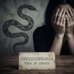 What Is Ophidiophobia? Understanding the Fear of Snakes and Its Treatment Options