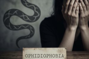 What Is Ophidiophobia? Understanding the Fear of Snakes and Its Treatment Options